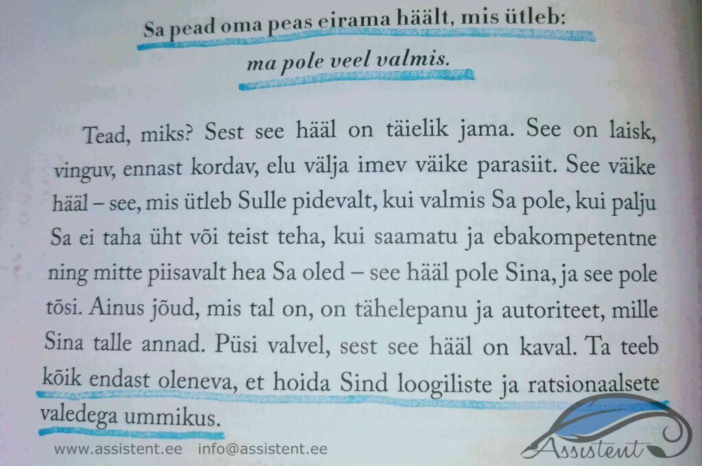 Äriidee teostamiseks - info@assistent.ee +372 5680 0084