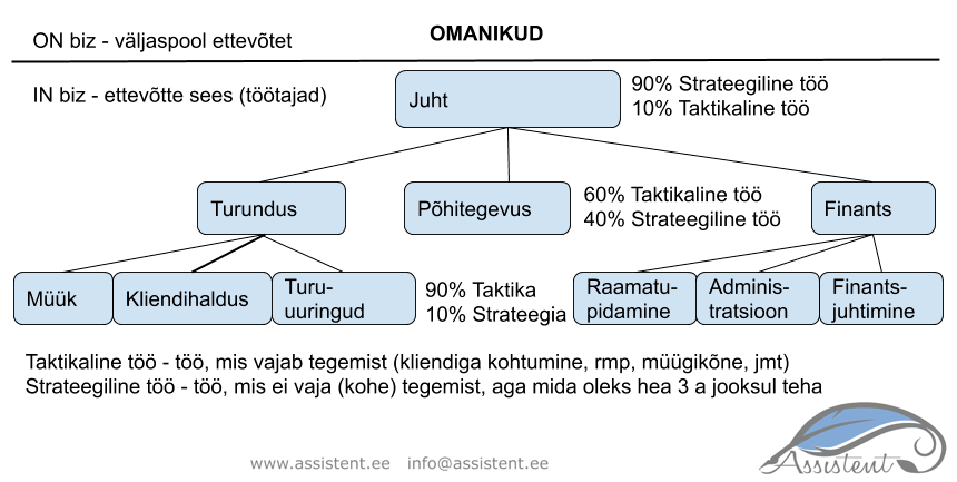 Ettevõtte struktuur - info@assistent.ee +372 5680 0084